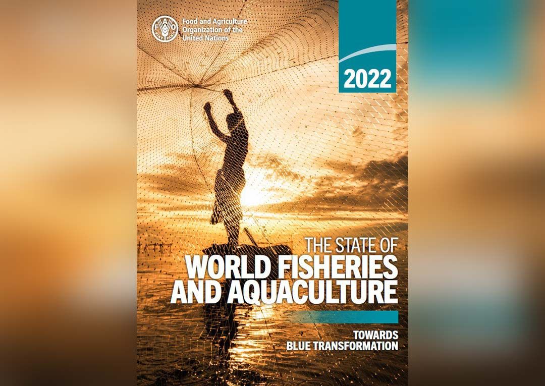 آمارهای صید و آبزی پروری جهان بر اساس گزارش فائو 2022